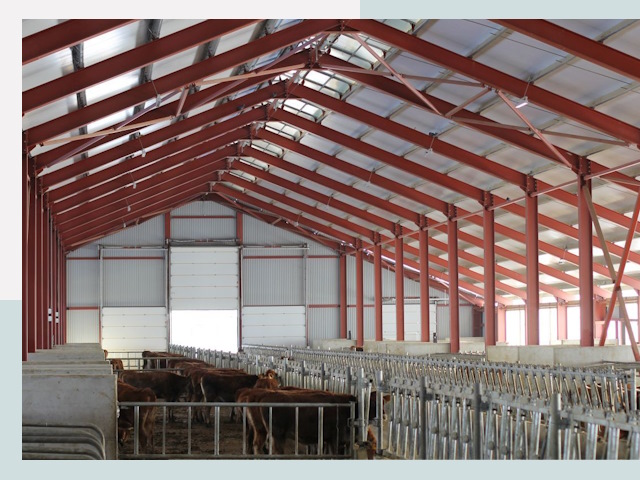 Строительство коровников в Лениногорске