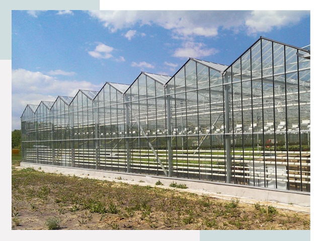 Строительство теплиц в Лениногорск от 619 руб. за м²