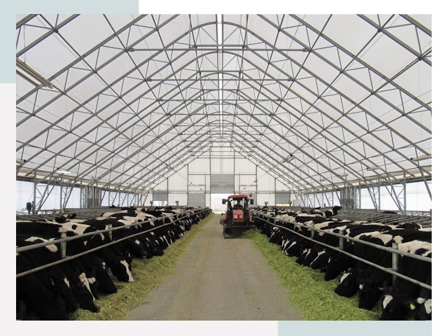 Тентовые коровники в Лениногорске от 619 руб. - Надежно и доступно