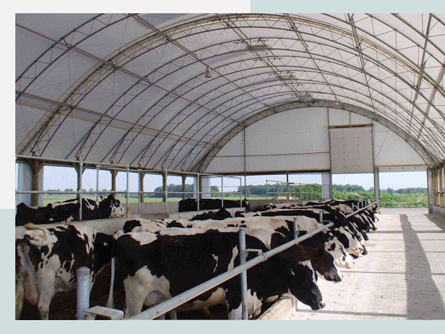 Тентовые коровники в Лениногорске